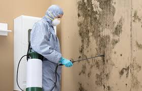 Best Real Estate Mold Inspection  in Elkader, IA